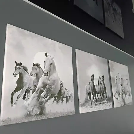 Zakatek Free Parking, Ochrona Διαμέρισμα