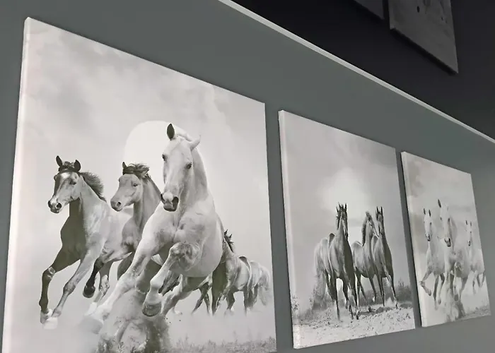 Zakatek Free Parking, Ochrona 아파트